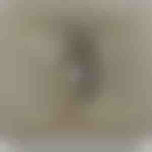 От родители за дъщеря | NAMI