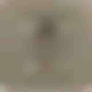 От баща за дъщеря | LEONA_HEARTS