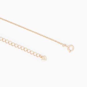 355d3168fe4497d33881c5b161ea1ccc32e213d6a0123e5118536a3b6d5f4484-900-1-300×300-1