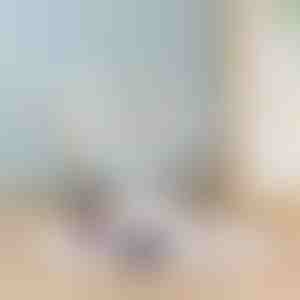 Органайзер за бижута | DEERTRAY