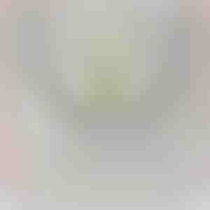 От внуци за дядо | LANCE