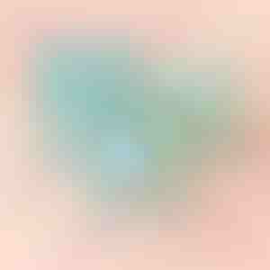 Синя Кутия с Роза | BLUEBOX