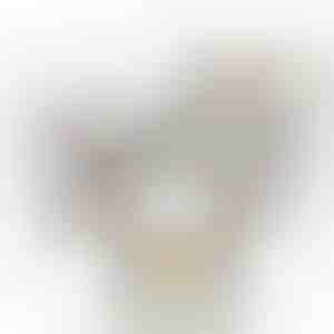 Бяла Кутия с Роза | WHITEBOX