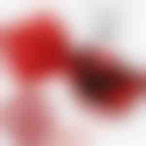 Колие и обеци в подаръчна кутия | LK_APPLEROSE_CLEA