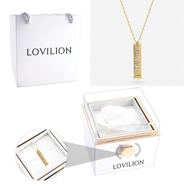 LUVION_WHITEBOX_v1__91c53ccd