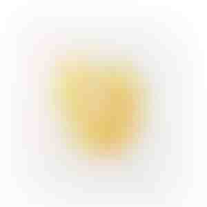 Обеци | GRACELINA_GOLD